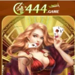 C444 Game