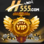 H555 Game