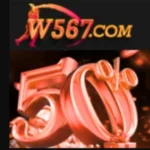W567 Game