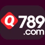 Q789 Game