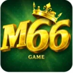 M66 Game
