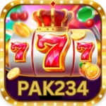 PAK234 Game