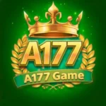 A177 Game
