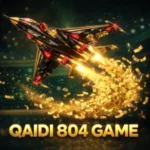 Qaidi 804 Game